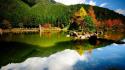 Landscapes nature forest lakes reflections wallpaper
