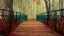 Fantasy nature trees forest seasons bridges reality kr wallpaper