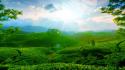Green clouds landscapes sun trees wallpaper