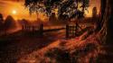 Nature sun trees old path gate wallpaper
