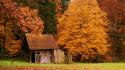 Landscapes autumn (season) forest cottage wallpaper