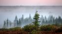 Landscapes nature mist national geographic west virginia wallpaper