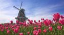 Landscapes nature tulips windmills pink flowers wallpaper