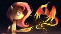 Phoenix fluttershy my little pony: friendship is magic wallpaper