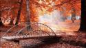 Water trees leaves scenic wallpaper
