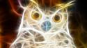 Birds animals fractalius owls digital art wallpaper