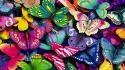 Colors butterflies wallpaper