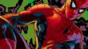 Comics spider-man marvel hulk wallpaper