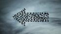 Flying shapes arrows birds wallpaper
