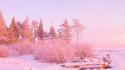 Landscapes winter snow trees pink wallpaper
