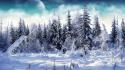 Landscapes winter trees moon wallpaper