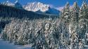 Mountains landscapes snow trees canada alberta wallpaper