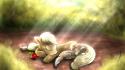 My little pony: friendship is magic winona wallpaper