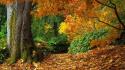 Nature autumn (season) seasons wallpaper