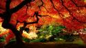Nature autumn (season) seasons wallpaper