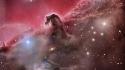 Outer space horsehead nebula wallpaper
