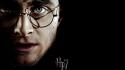 Potter and the deathly hallows daniel radcliffe wallpaper