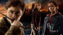 Radcliffe rupert grint hermione granger ron weasley wallpaper