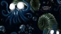 Squid digital art artwork crustacean underwater omanyte wallpaper