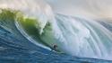 Surfing california wallpaper
