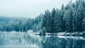 Trees forest british columbia lakes reflections snowfall wallpaper
