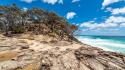 Beach trees rocks australia hdr photography sea wallpaper