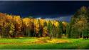 Landscapes nature forest leaves finland autumn wallpaper
