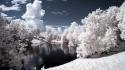 Landscapes nature trees ponds infrared photography wallpaper