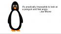 Minimalistic white quotes penguins grayscale simplistic and black wallpaper
