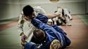 Sports fight gracie jitsu jiu-jitsu martial artist wallpaper