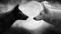 Black and white animals moon grayscale wolves wallpaper