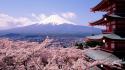Chureito pagoda japan mount fuji cherry blossoms wallpaper