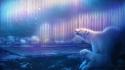 Digital art polar bears ursa minor major wallpaper