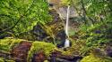 Moss oregon waterfalls rivers columbia wallpaper