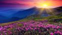 Mountains nature sun flowers shining hills skies wallpaper