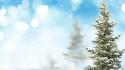 Snow pine trees wallpaper