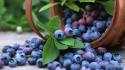 Fruits food baskets blueberries wallpaper