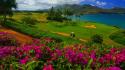 Landscapes nature hawaii golf kauai wallpaper