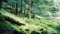 Landscapes trees forest stones europe scotland moss wallpaper