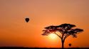 Nature sun trees silhouette hot air balloons wallpaper
