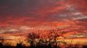Sunset clouds red skies sky wallpaper