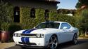 White cars dodge challenger racing stripes muscle car wallpaper
