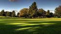 Landscapes trees grass golf course wallpaper