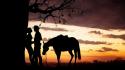 Silhouette film horses australia wallpaper