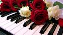 Floor piano roses wallpaper