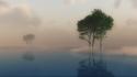 Water trees fog reflections wallpaper