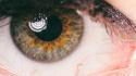 Close-up eyes macro wallpaper