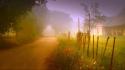 Landscapes nature trees garden fog country protection wallpaper