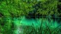 Landscapes trees forest europe croatia lakes plitvice wallpaper