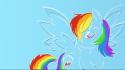 My little pony: friendship is magic dashie wallpaper